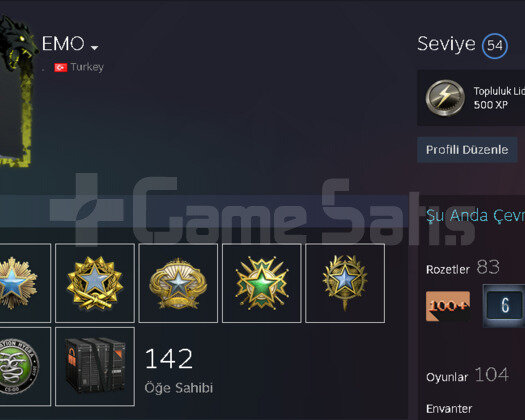 54 Seviye Steam+11 Madalya+1964 TL Oyun
