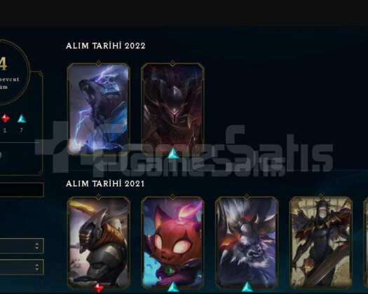 2 HESAP TEK FİYAT