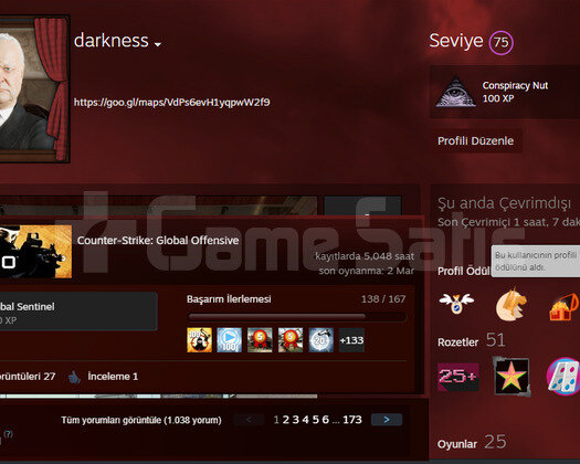 FACEİT 10 LVL 75 LVL STEAM 14 MADALYA
