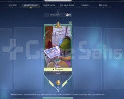 Mailli  GOLD 3 HESAP SKİNLİ TR