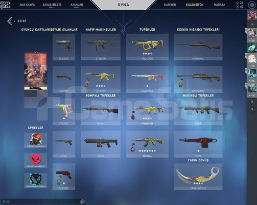 ASİL VANDAL + BATTLEPASS IMMORTAL