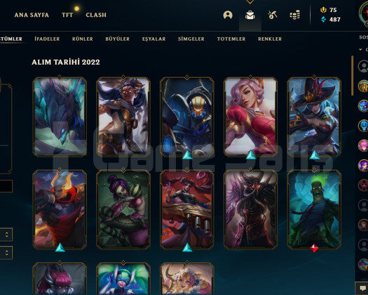 YAĞMACI VANDAL + ASİL PHANTOM + LOL GOLD 217 LEVEL