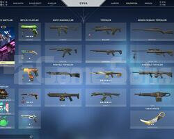 147 LVL PLAT EJDER VANDAL + İYON-ASİL PHANTOM