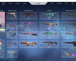gold 3 hesap  + yağmacı ve karambit