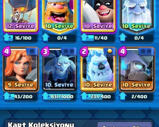 12 LEVEL BALON 5000 KUPA HESAP 60K ALTIN