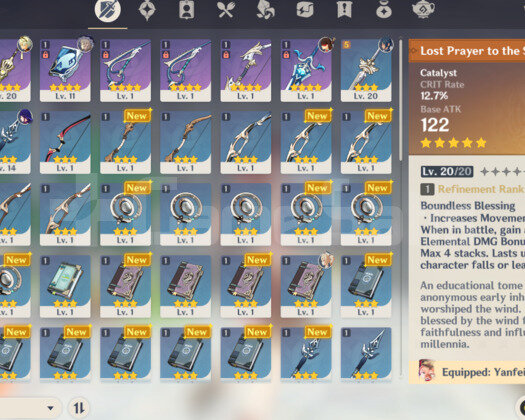 AR 23 Raiden Shogun + Lost Prayer