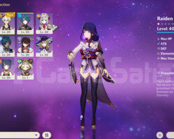 AR 23 Raiden Shogun + Lost Prayer