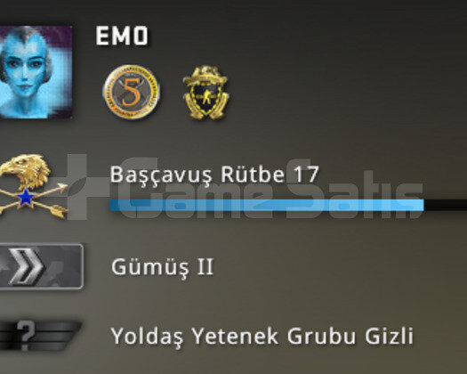 3 Madalya 220 TL Envanter+548 TL Oyun TR Hesabı