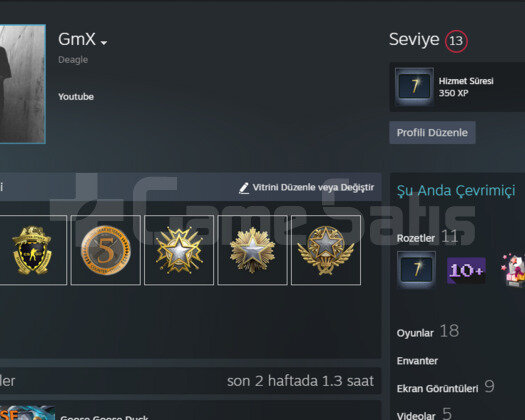 CSGO GLOBAL 300+ WİN TEMİZ 6 madalya