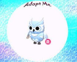 R Snow Owl