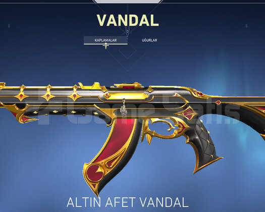 SKİNLİ HESAP