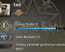 1 Madalya+Prime+MG2+TR Hesabı+Faceit