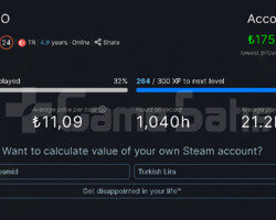 24 lvl Steam+1.5K Oyun+2 Madalya+TR Hesabı+Faceit