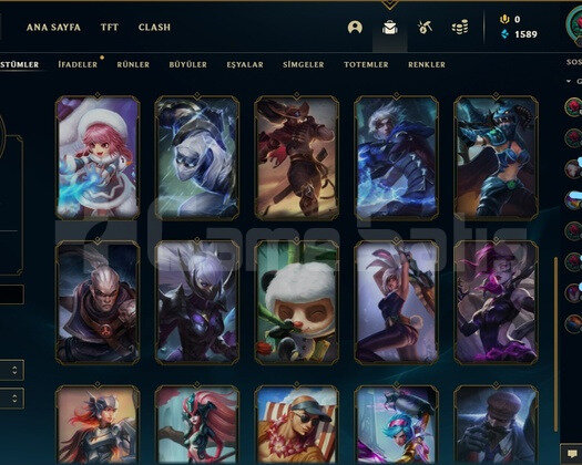 23 KOSTUMLU ELEMENTALIST LUXLI HESAP