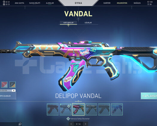 YAĞMACI VANDAL OPERATOR NELER NELER