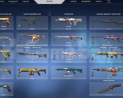 Asil Vandal / +30 Skin Harika Hesap