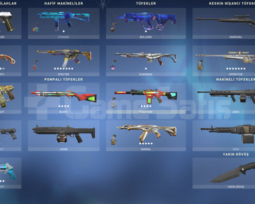 Yitik Vandal/Asil Spectre/ Köken Op/+30 Skin