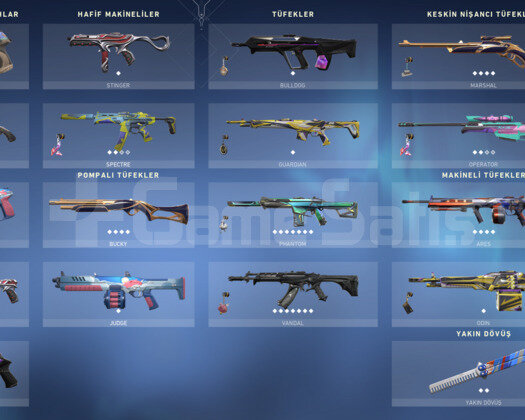 Yoru Kelebeği/Yağmacı Vandal/Asil Phantom+30 Skin