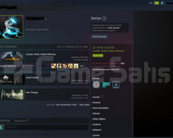 PRİME CS TERTEMİZ MG2 STEAM GÜZEL OYUNLAR!!