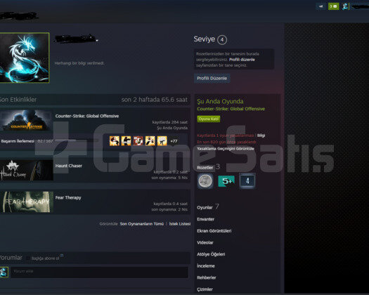 PRİME CS TERTEMİZ MG2 STEAM GÜZEL OYUNLAR!!