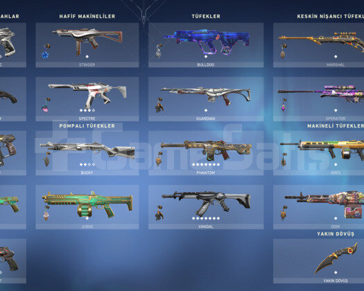+30 skin/Yağmacı Vandal/Oni Phantom/Altın Afet Bıç