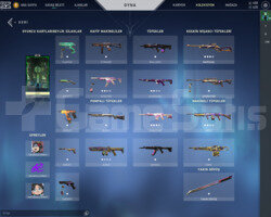3 BPli Full Skinli Zararına Hesap