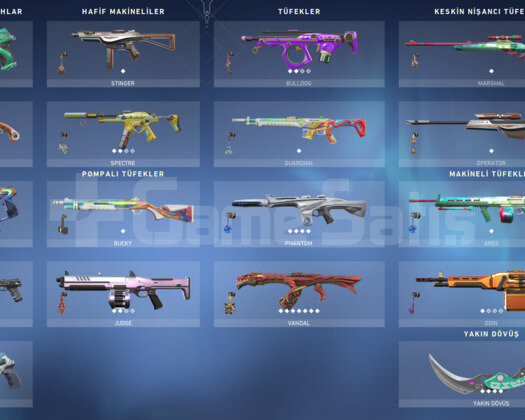 EJDER VANDAL / İON PHANTOM / KARAMBİT +30 SKİN