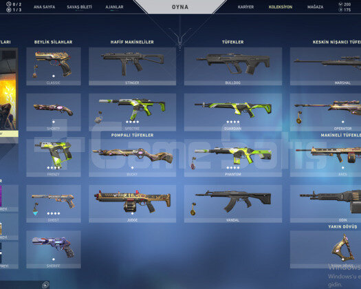TR HESAP  SMURFLUK + BIÇ