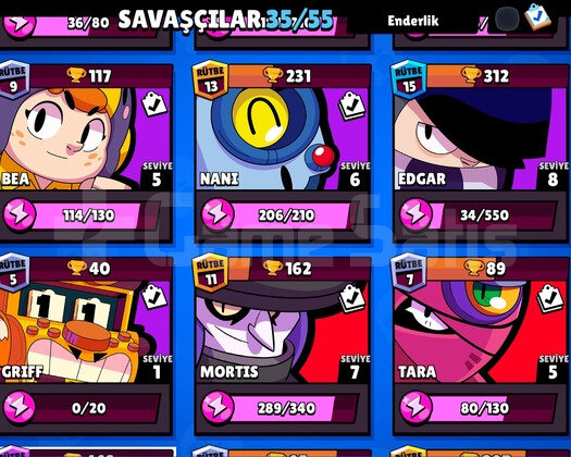 150tl yatırılmış brawlpasslı pro hesap