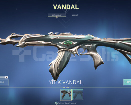 YİTİK VANDALLI HESAP
