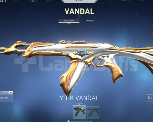 YİTİK VANDALLI HESAP