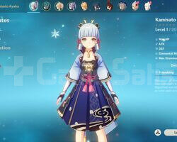AR 10 Ayaka Keqing