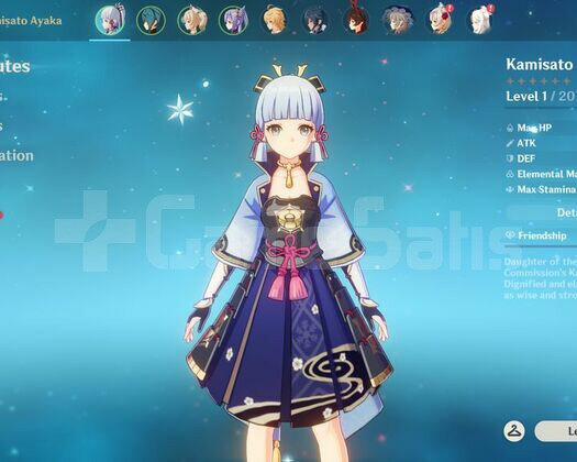 AR 10 Ayaka Keqing