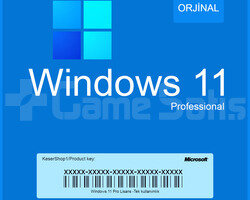 Windows 11 PRO ORJİNAL LİSANS