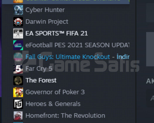 6000tl değerinde steam hesabı /csgo 2 madalya