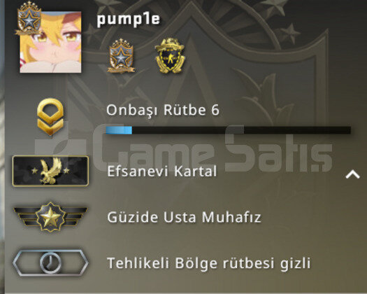 6000tl değerinde steam hesabı /csgo 2 madalya