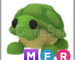 Mfr Turtle