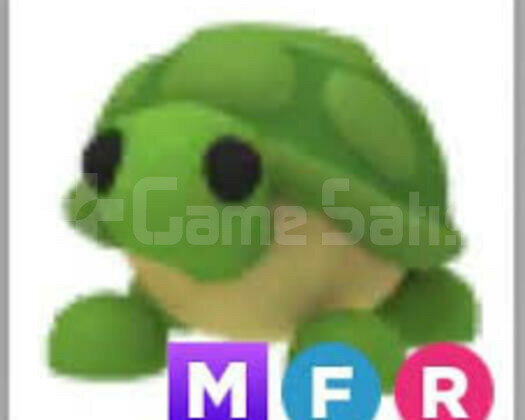Mfr Turtle