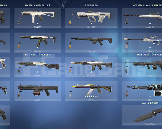 Asil Vandal+Gösterişli Op + 30 Skin