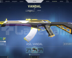 Asil Vandal + Bp li hesap