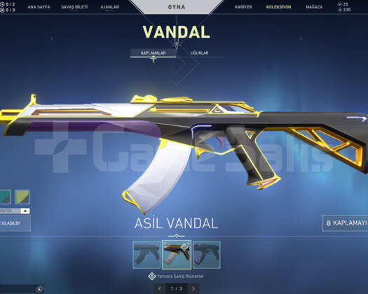 Asil Vandal + Bp li hesap