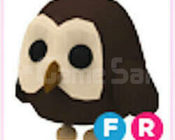 Fr Owl ve R Parrot