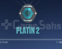 PLAT 2 HESAP