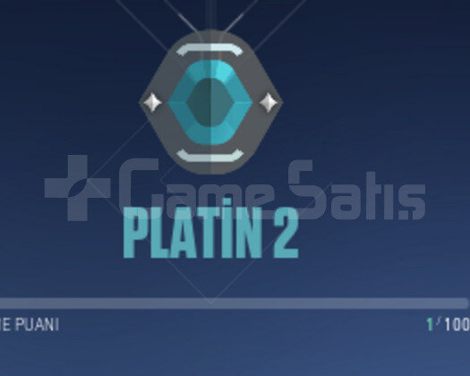 PLAT 2  HESAP