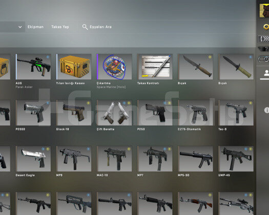 Prime csgo hesap + 40tl cs env + ets2
