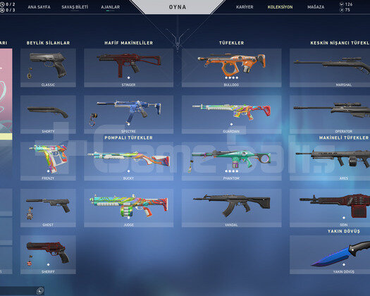 uranked bol skin mail doğrulmasız !
