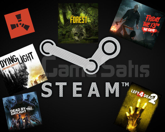 Steam Kişisel Oyun Hesabım
