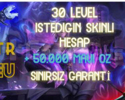 Skin Seçmeli EUW/ TR Hesapları