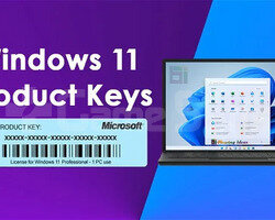 Windows 11 PRO ORJİNAL LİSANS