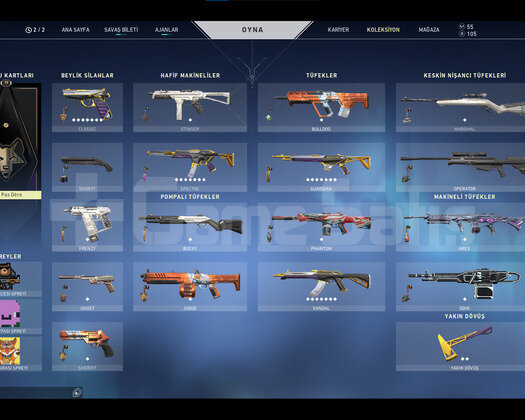 ASİL VANDAL,ASİL BALTA,TR SERVER